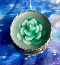 Load image into Gallery viewer, Succulent Flower Candle Tin 4oz