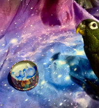 Load image into Gallery viewer, Turtle tin 2oz
