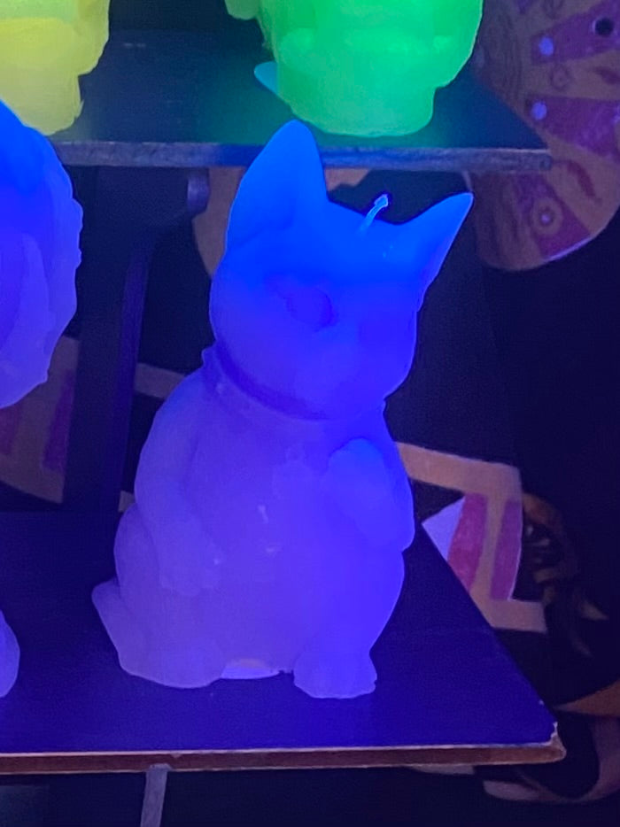 Glow in the Dark Big Cat