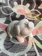 Load image into Gallery viewer, Plaster Pet Painting Party Packages
