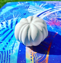 Load image into Gallery viewer, Plaster Pet Painting Party Packages
