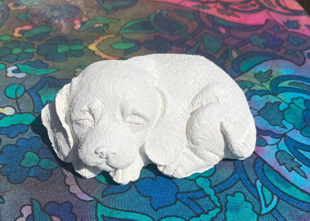 Paint Your Own Puppy Kit