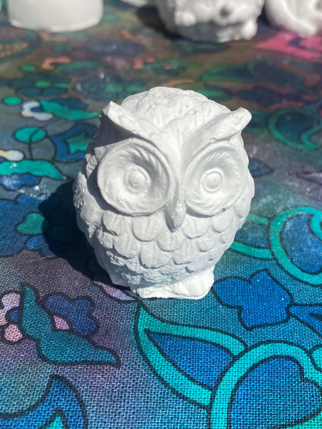 Paint Your Own Owl Kit